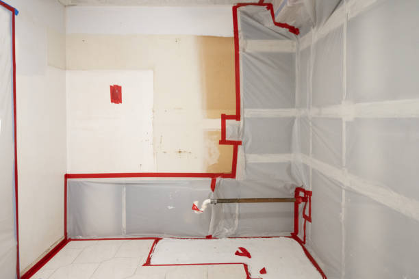 Trusted Newburyport, MA Mold Inspection, Removal & Remediation Experts